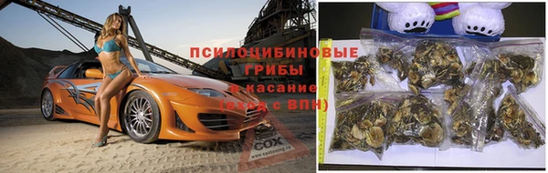 гашик Балахна
